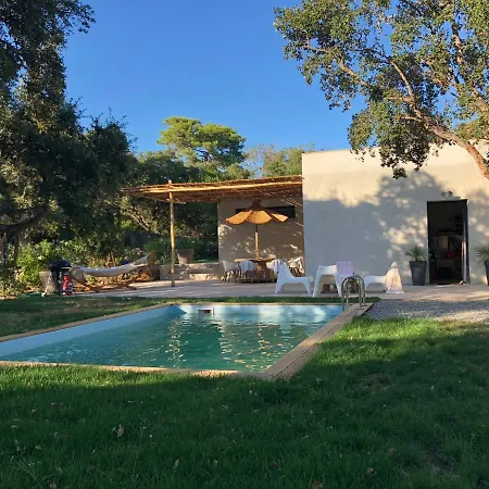 Lecci E Mare * Olmucciu