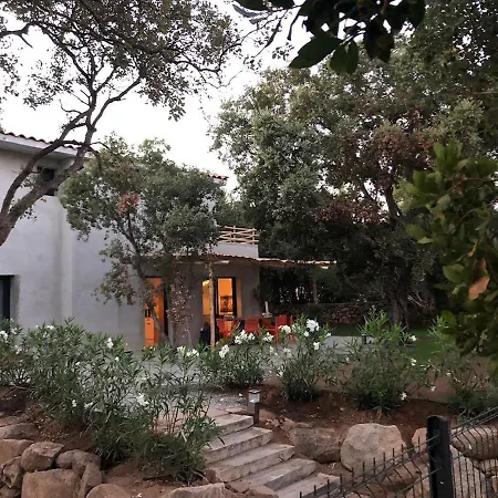 Lecci E Mare * Olmucciu